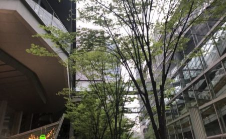東京国際フォーラム、ウォークスルーパティオから見上げる4月下旬の風景